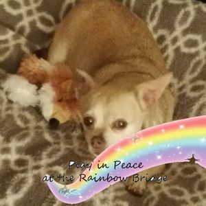 Meet your Posher, Diana